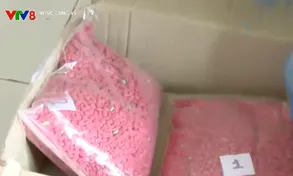 Phòng chống ma túy trên biên giới Quảng Trị