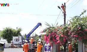 Diễn tập ứng phó với các sự cố trong ngành điện