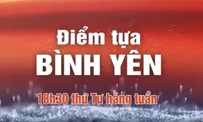 Chuyên mục ký sự truyền hình mới 
