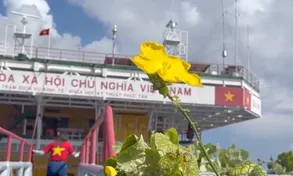 Mầm xanh trên nhà giàn