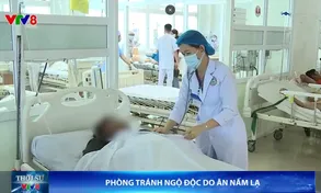 Phòng tránh ngộ độc do ăn nấm lạ