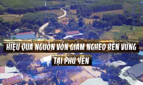 Phóng sự: Hiệu quả nguồn vốn giảm nghèo bền vững tại Phú Yên