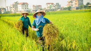 Bản tin Thị trường 24h ngày 27/04/2026