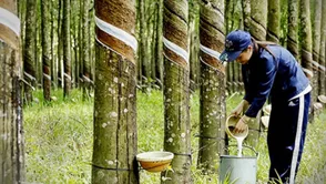 Bản tin Thị trường 24h ngày 30/06/2026 (nháp)