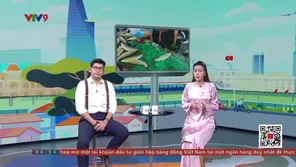 Biết gì chưa - 01/6/2025