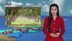 Trang địa phương: Số 22