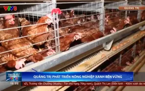 Quảng Trị phát triển nông nghiệp xanh bền vững