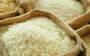 Gạo Việt từng bước chinh phục thị trường Nhật Bản