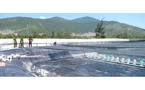 Cảnh báo mất an toàn từ các vùng nuôi tôm trên cát