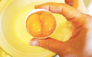 Hút sống lòng đỏ trứng gà có thực sự bổ dưỡng?
