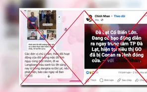 Tin giả: Nhận diện nguy cơ và hành lang pháp lý