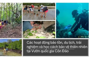 Lời nhắn từ rừng già và bài toán kinh tế trách nhiệm