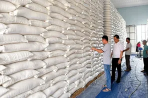 TP.Hồ Chí Minh ứng phó với biến động cung cầu gạo do xung đột địa chính trị, xăng dầu