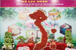 Bắc Ninh thúc đẩy tiêu thụ vải thiều và nông sản OCOP, hướng tới xây dựng thương hiệu nông sản bền vững