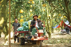 Đưa khởi nghiệp trở thành cơ hội mở cho mỗi người
