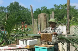 Khai thác hiệu quả tiềm năng kinh tế dưới tán rừng