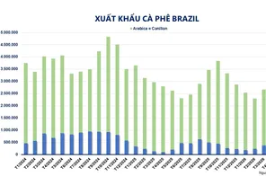 Thị trường hàng hóa: Cà phê trải qua đợt biến động giá mạnh