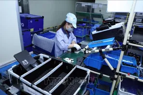 Đông Nam Á lập kỷ lục thu hút vốn FDI nhờ làn sóng dịch chuyển chuỗi cung ứng