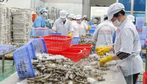 Gỡ vướng thuế VAT cho doanh nghiệp