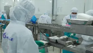 Xuất khẩu nông, lâm, thủy sản đạt gần 36 tỷ USD