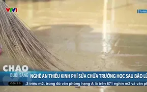 Nghệ An thiếu kinh phí sửa chữa trường học sau bão lũ