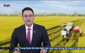 Buổi sáng đầu tiên tại vùng biên Quảng Trị