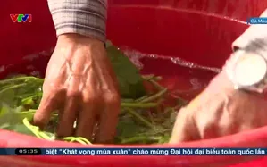 Thoát cảnh thiếu nước ngọt sinh hoạt