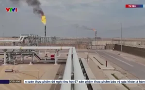 Các nước vùng Vịnh cắt giảm sản lượng dầu