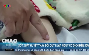 Sốt xuất huyết thay đổi quy luật, nguy cơ dịch đến sớm