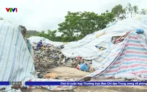 Đà Nẵng hàng nghìn tấn rác thải ùn ứ tại khu dân cư