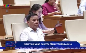 Giảm thuế xăng dầu về 0 đến hết tháng 6/2026