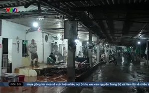 Xóa bỏ giết mổ gia súc, gia cầm không đủ điều kiện 