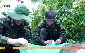 Tập trung nguồn lực quy tập mộ liệt sĩ