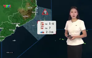 Bản tin thời tiết 9h10 - 08/9/2026