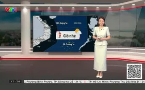 Bản tin thời tiết 12h30 - 02/10/2026