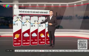 Bản tin thời tiết 19h45 - 02/10/2026