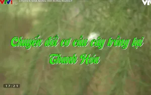 Chuyển đổi cơ cấu cây trồng ở Thanh Hóa