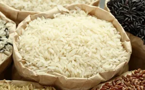 WFP: Mất an ninh lương thực có thể trầm trọng thêm do COVID-19