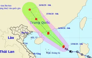 Bão số 1 giật cấp 12, Bắc Bộ có mưa lớn