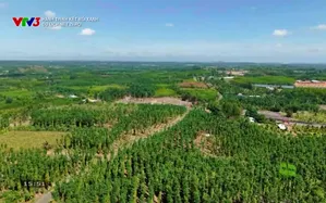 Hành trình kết nối xanh: 		Du lịch Net Zero