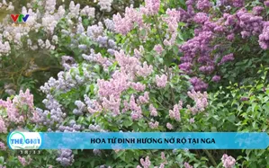 Thế giới quanh ta 2025 - Số 22