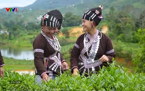 Đóa hoa trên nếp vải người Lự