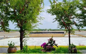 Tìm an lành nơi đảo xanh