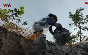 Trải nghiệm nghề đắp đất giữ bờ ở miền Tây
