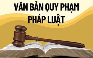 Bảo đảm chất lượng các dự án luật, đẩy nhanh tiến độ soạn thảo văn bản quy định chi tiết