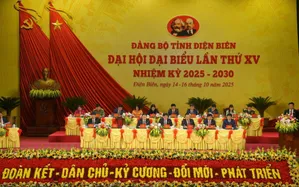 Ông Trần Tiến Dũng được bầu giữ chức Bí thư Tỉnh ủy Điện Biên