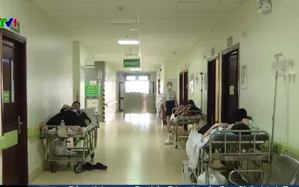 Điều tra vụ nghi ngộ độc sau khi ăn bánh mì