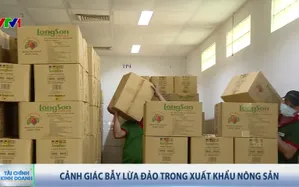 Cảnh giác bẫy lừa đảo trong xuất khẩu nông sản