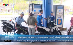 Thí điểm một số chính sách trong triển khai lộ trình sử dụng xăng E10