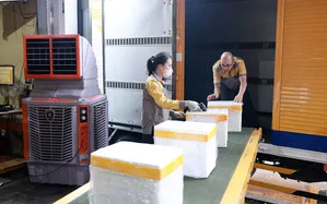 Quy trình riêng biệt để vận chuyển mẫu ADN thân nhân liệt sĩ trong Chiến dịch 500 ngày đêm